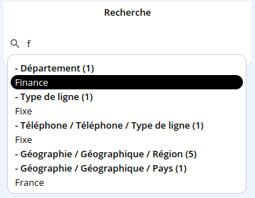 Search_item_portlet_FR.png