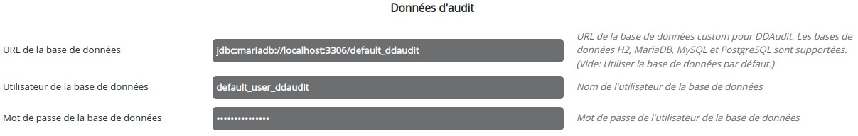 DDAudit