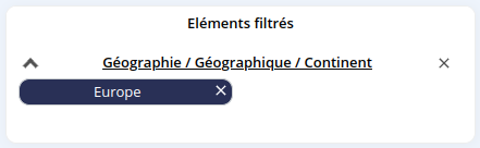 Filtered_elements_dimension_level_FR.png
